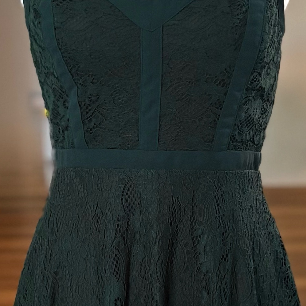 NWT, Xtraordinary, Green, Fit and Flare Lace Mini Dress, Juniors Size M - Picture 7 of 13